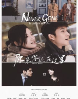 Never Gone 