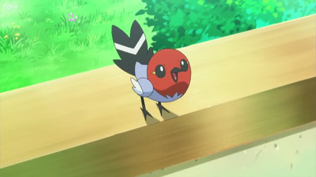 Pokémon XY Dublado - Episódio 1 - Animes Online