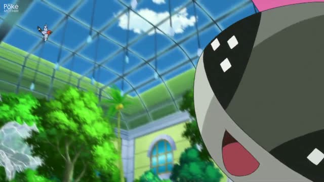 Pokémon XY Dublado - Episódio 7 - Animes Online