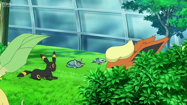 Assistir Pokemon (2019) - Dublado ep 29 HD Online - Animes Online