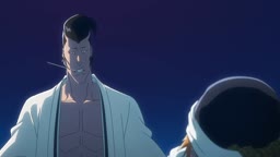 Bleach: Sennen Kessenhen Ketsubetsutan Dublado - Animes Online